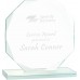  Octagon Jade Glass Award